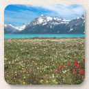 Search for glacier bay coasters Don paulson