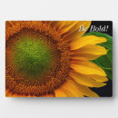 Search for sunflower plaques Garden