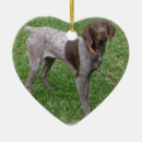 Search for german shorthaired pointer christmas tree decorations pointers