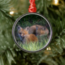 Search for baby fox christmas tree decorations Animals in the wild
