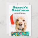 Search for presented cards Pets