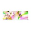 Search for fractal return address labels Abstract