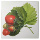 Search for strawberry tiles Vintage