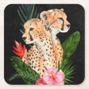 Search for wild barware Cheetah