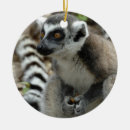 Search for lemur christmas tree decorations Primate