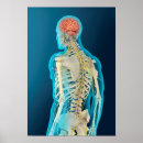 Search for fibres posters Digitally generated image
