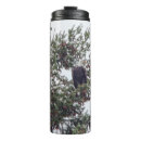 Search for eagle feathers mugs Wildlife