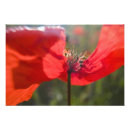 Search for fertility art Flower