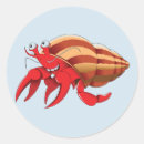 Search for hermit crabs stickers Cartoon