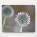 Search for mirror mousepads Nature