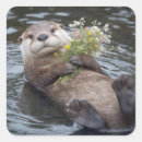 Search for sea otter stickers Water