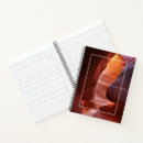 Search for antelope notebooks Abstract