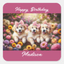 Search for golden retriever puppy stickers Dogs