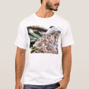 Search for constrictors Animals