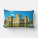 Search for castle cushions England