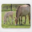 Search for mare mousepads Ranch