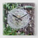 Search for fluff art Dandelion