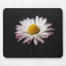 Search for bellis electronics Yellow