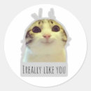 Search for funny memes stickers Humour