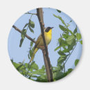 Search for common magnets Birds