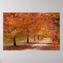 Search for panoramic posters Autumn