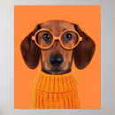 Search for dachshund art Cute