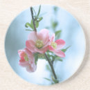 Search for apple blossom coasters Tree