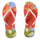 Search for wild shoes Flower