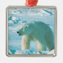 Search for polar christmas tree decorations Ice