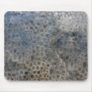Search for fossil mousepads Brown