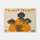Search for dachshund thanksgiving Doxies