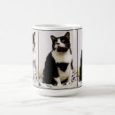 Search for cat trio mugs Kitty
