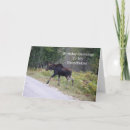 Search for moose birthday cards Nature