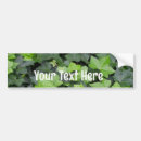 Search for botanical bumper stickers Leaves