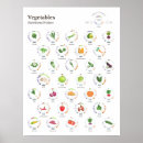 Search for nutrition posters Vegetarian