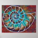 Search for ammonite posters Nautilus