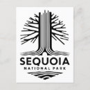 Search for sequoia national park postcards Travel