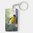 Search for finch key rings Cute