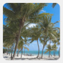 Search for key west stickers Nature