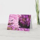 Search for fragrant cards Bloom