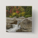 Search for cascade badges River