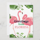 Search for flamingo seasonal cards Vacation