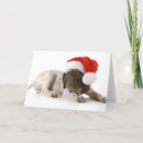 Search for german shorthaired pointer christmas cards Adorable