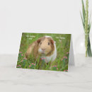 Search for pig get well cards Animal