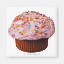 Search for frosted magnets Dessert