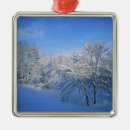 Search for sky christmas tree decorations Usa