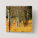 Search for birch tree badges Autumn
