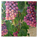 Search for grape vine tiles Fruit