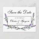 Search for lavender watercolor postcards Botanical
