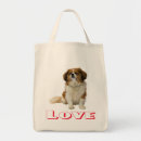 Search for cavalier king charles spaniel accessories Puppies